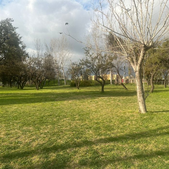 Jardín y Quinchos 7 JB_02