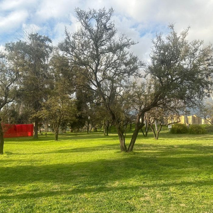 Jardín y Quinchos 4 JB_04